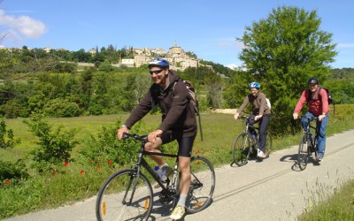 Cycling in Provence © Walk Inn Provence